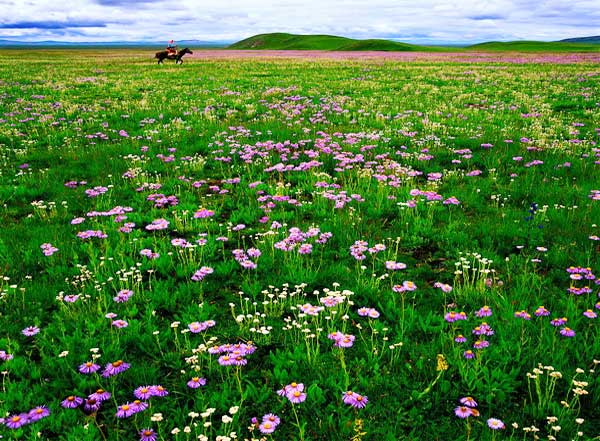 成都租車(chē)自駕去紅原若爾蓋九寨溝6日游