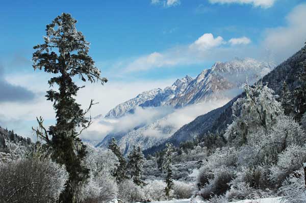成都到畢棚溝自駕游攻略